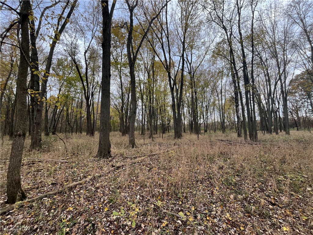 Prairie Lane Road Wooster, OH 44691 - Photo 24 of 28 View of local wilderness