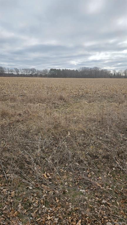 Parcel E Parshallville Road Fenton, MI 48430 - Photo 1 of 1