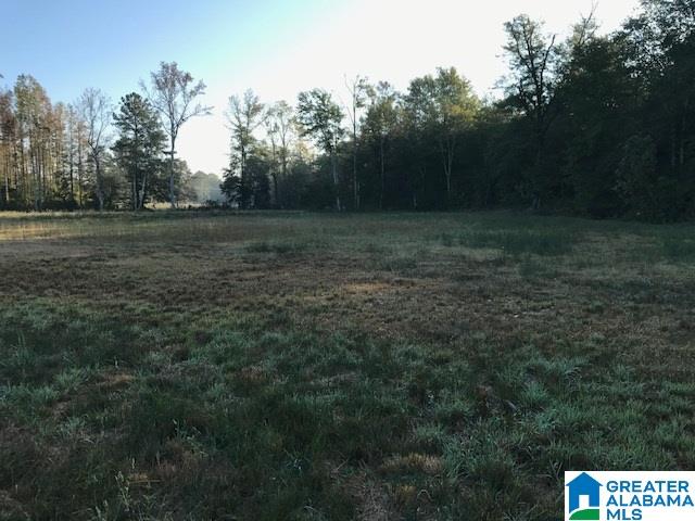 545 Watts Road, Unit 50 AC Lineville, AL 36266 - Photo 5 of 21