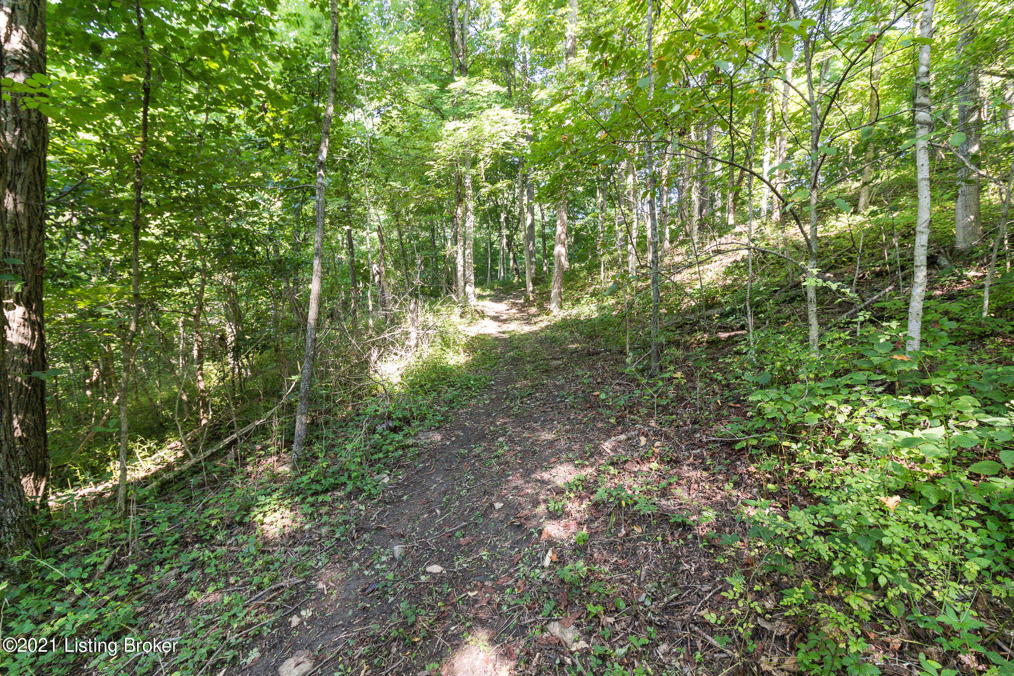 2-tracts Haley Road Shelbyville, KY 40065 - Photo 18 of 22 Path can be walked or accessed by ATV