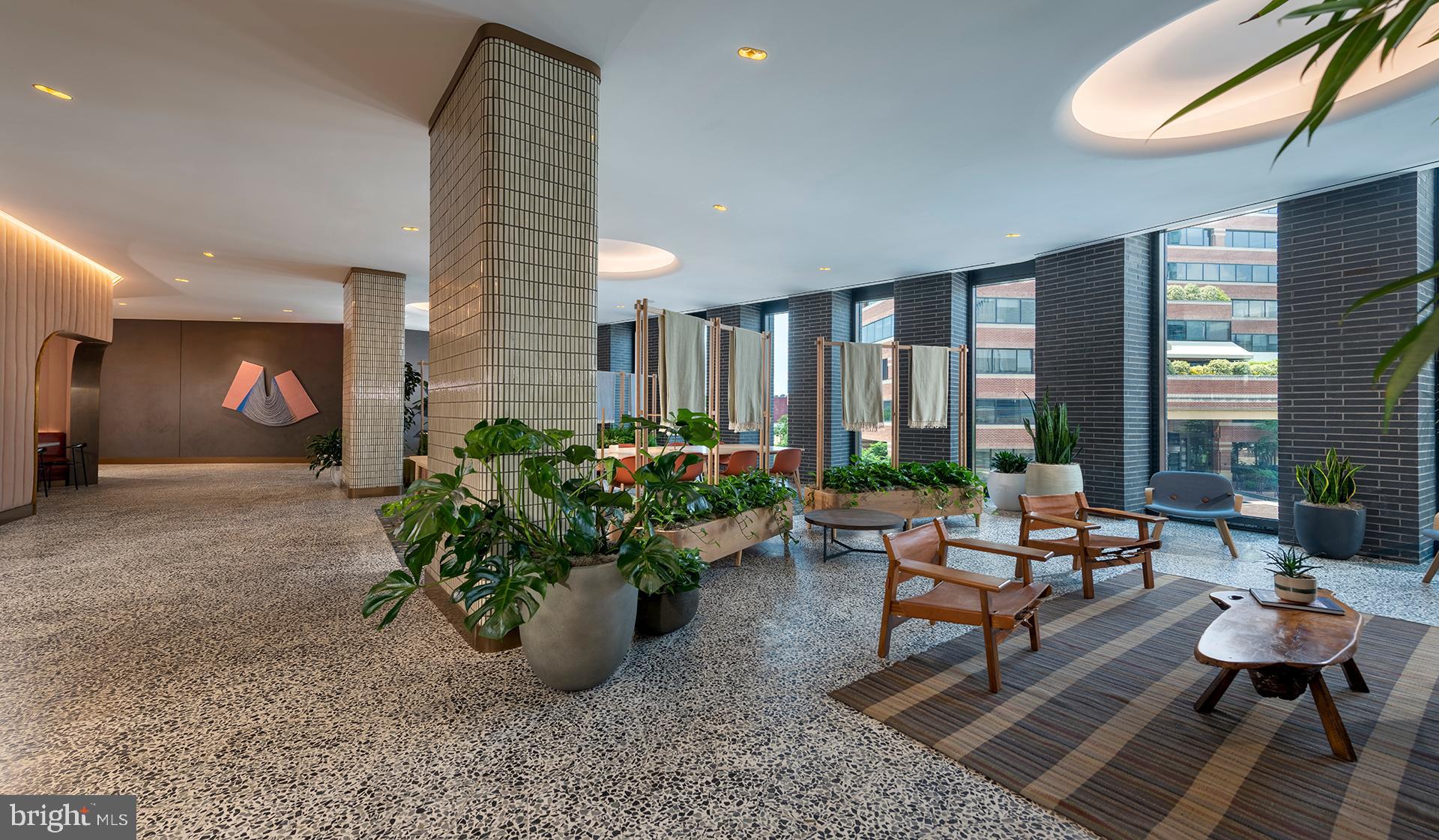 4710 Elm Street, Unit 1BE2003 Bethesda, MD 20814 - Photo 55 of 91 a living room with furniture and a potted plant