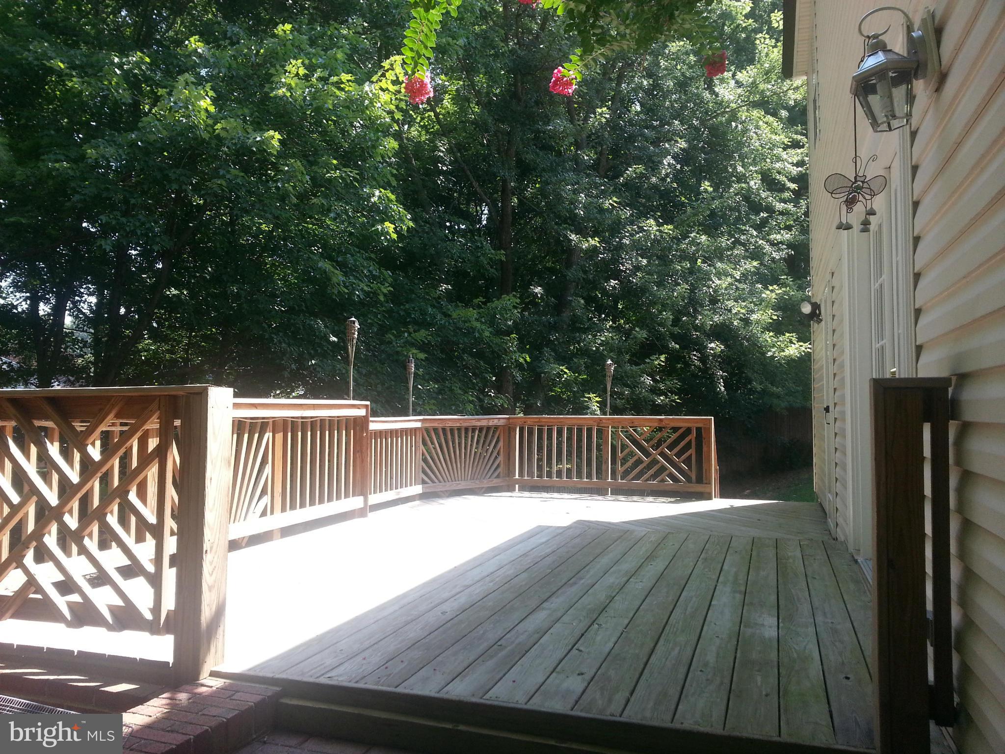 13634 Poplar Tree Road Chantilly, VA 20151 - Photo 5 of 5 Exterior (Rear)