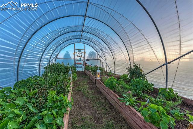 16256 Ridge Run Drive Colorado Springs, CO 80908 - Photo 47 of 50 Greenhouse