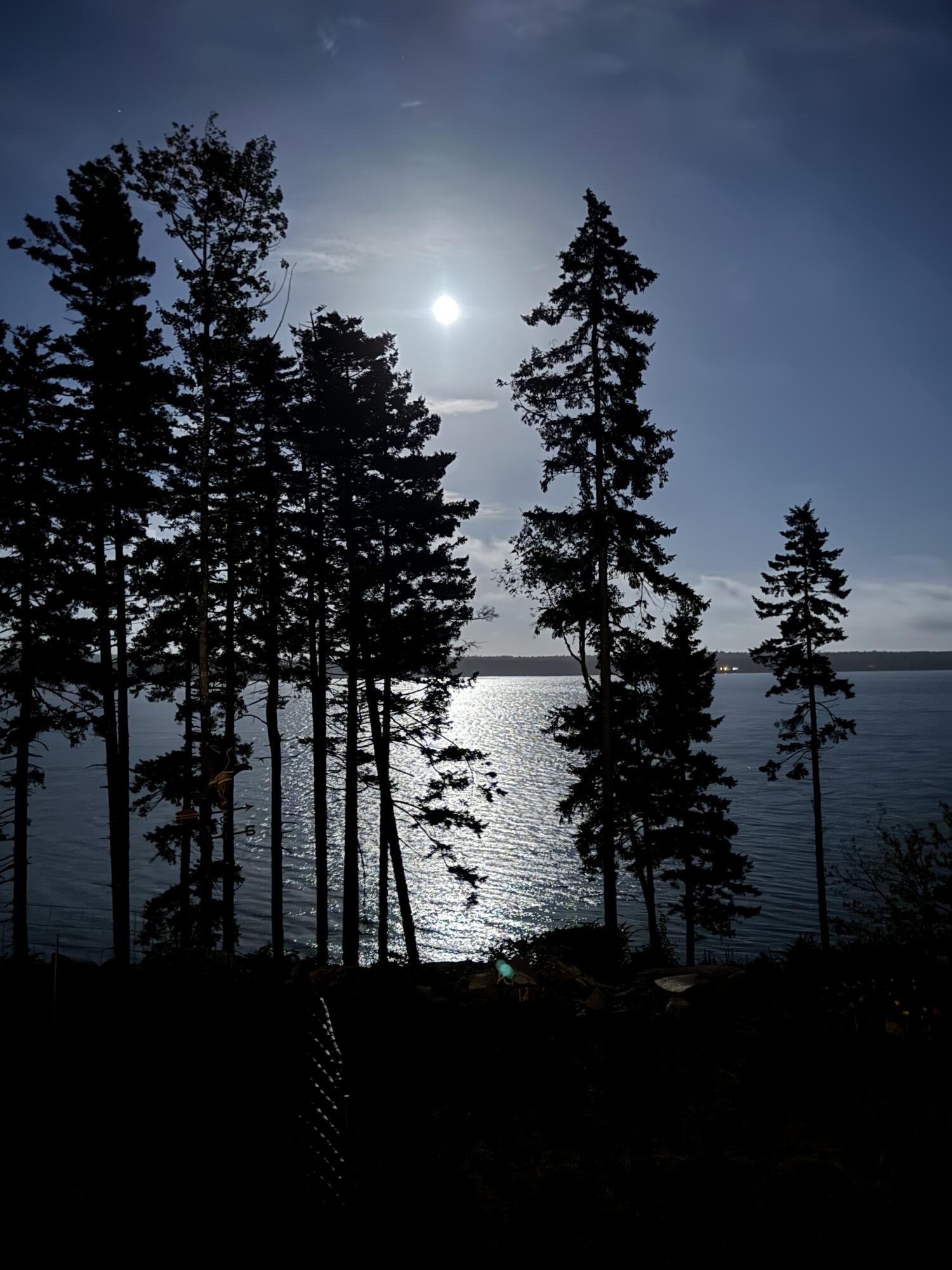 49 Peninsula Shore Road Gouldsboro, ME 04624 - Photo 11 of 58 Moonlight