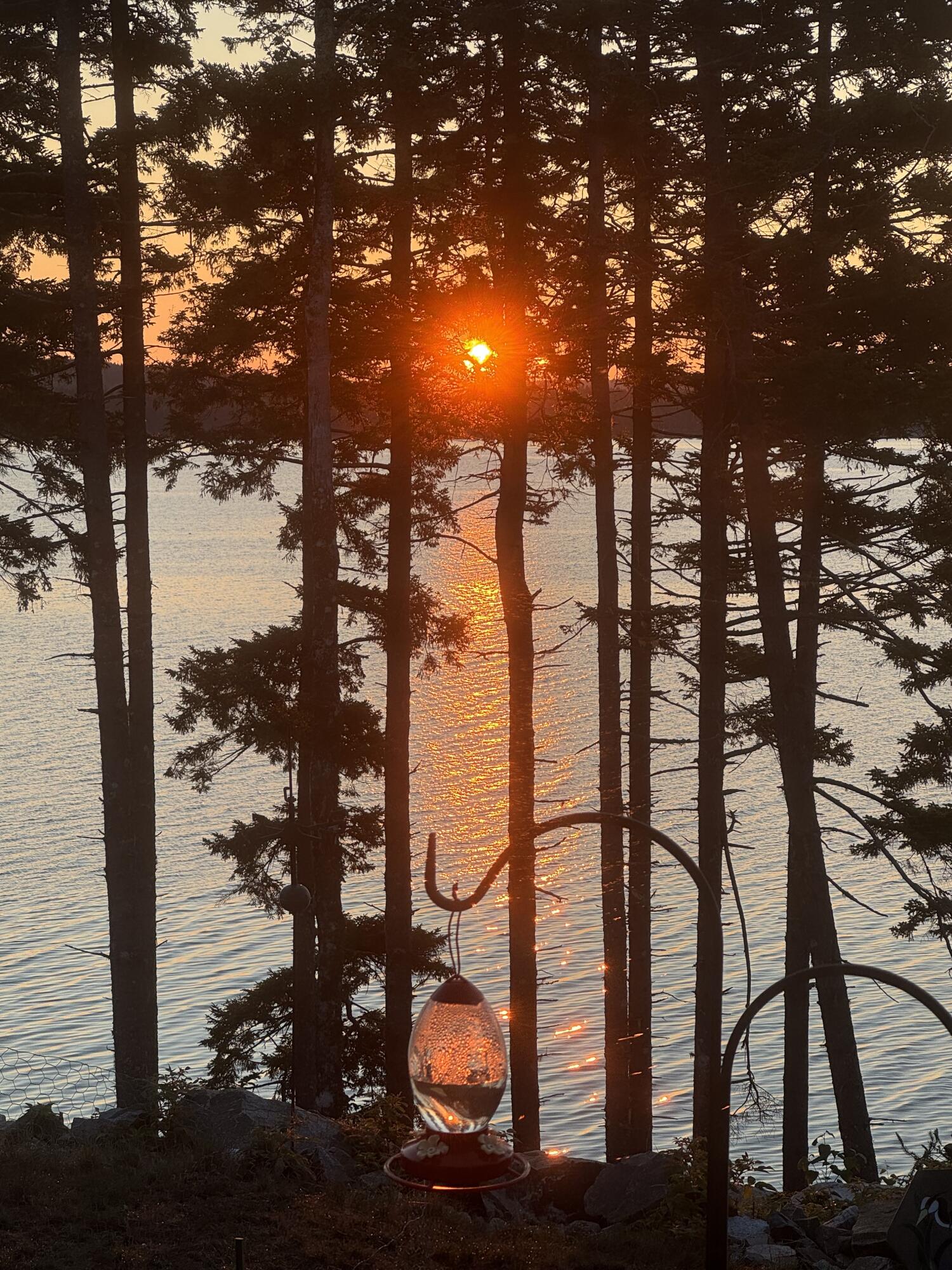 49 Peninsula Shore Road Gouldsboro, ME 04624 - Photo 9 of 58 Sunrise