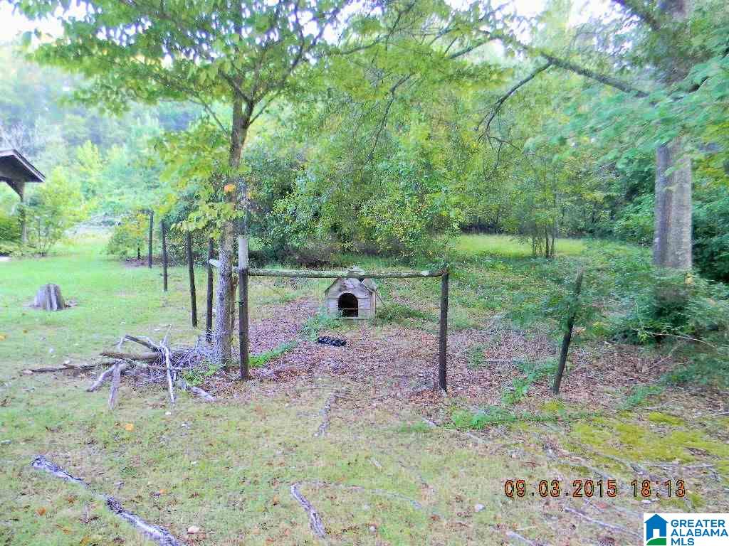 252 County Road 68 Clanton, AL 35046 - Photo 7 of 11