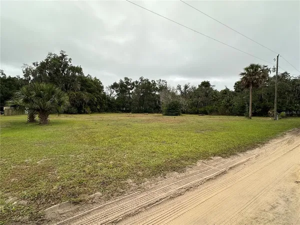 a view of a yard with an trees