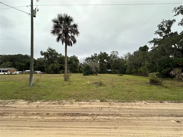 a view of a yard