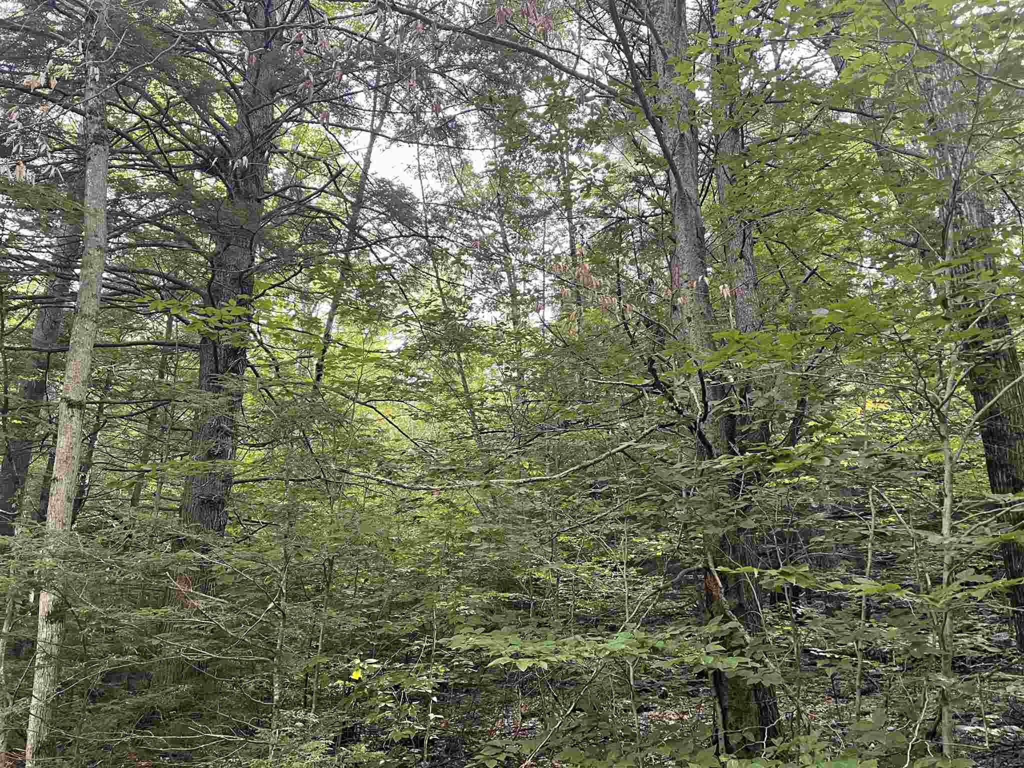 28 Brown Road Warner, NH 03278 - Photo 1 of 6