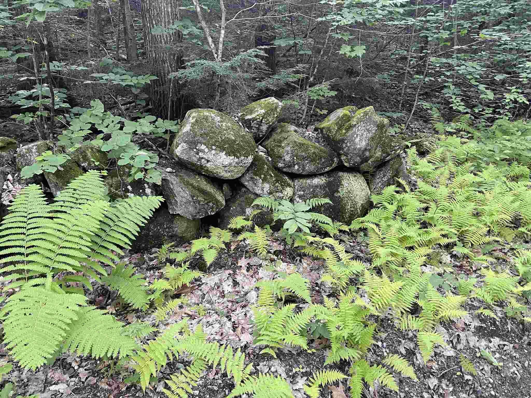 28 Brown Road Warner, NH 03278 - Photo 2 of 6