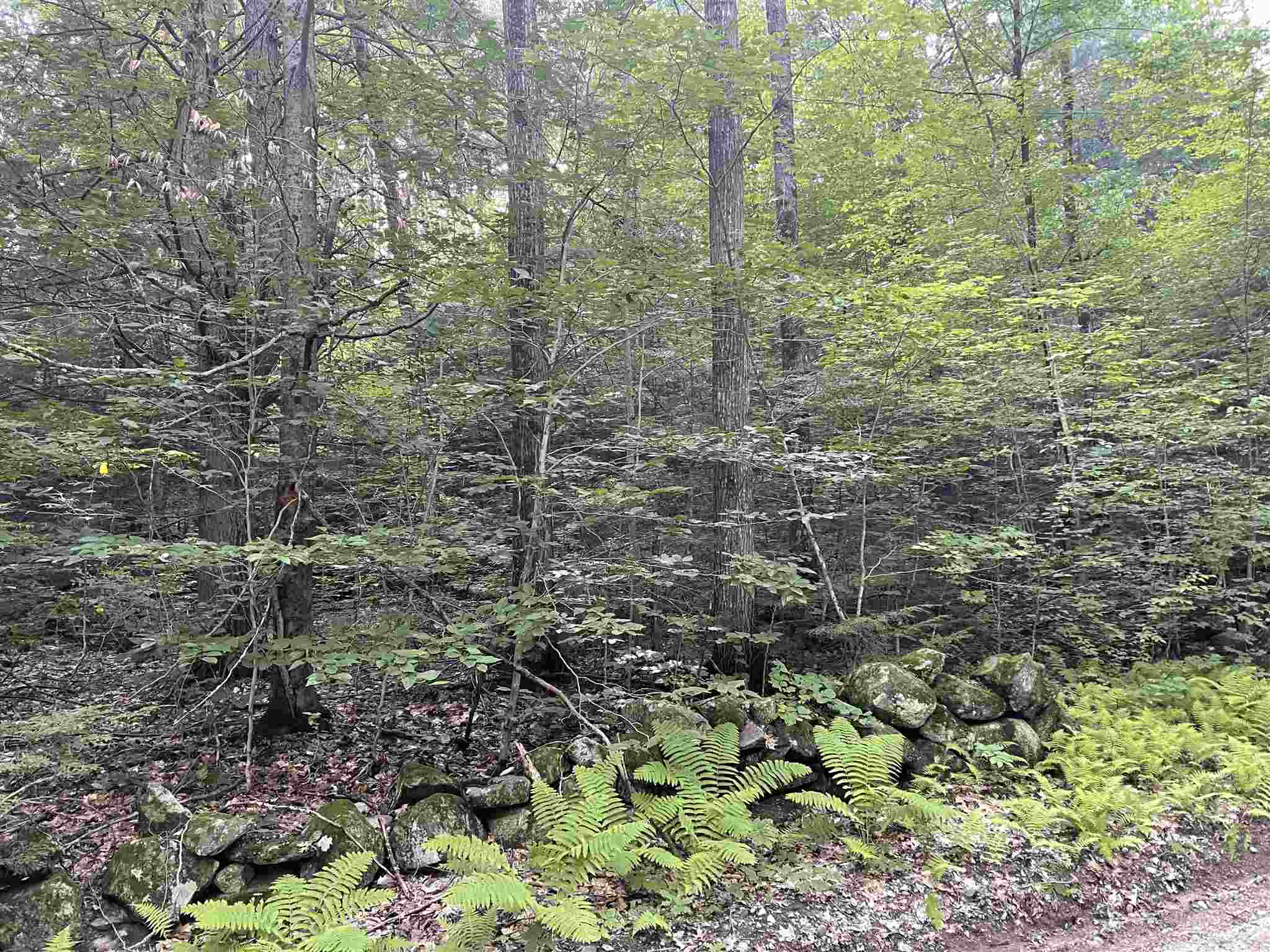 28 Brown Road Warner, NH 03278 - Photo 3 of 6