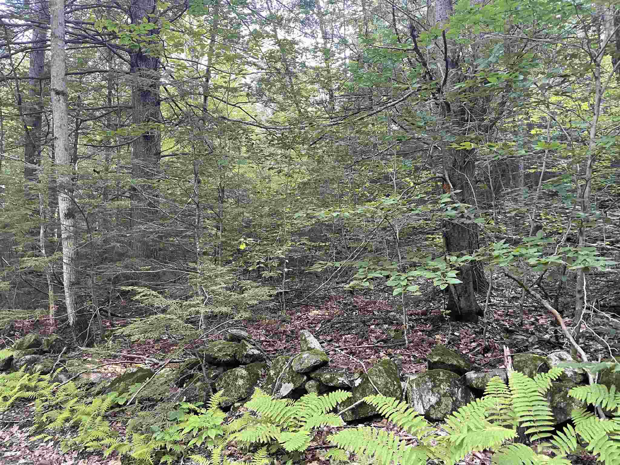 28 Brown Road Warner, NH 03278 - Photo 5 of 6