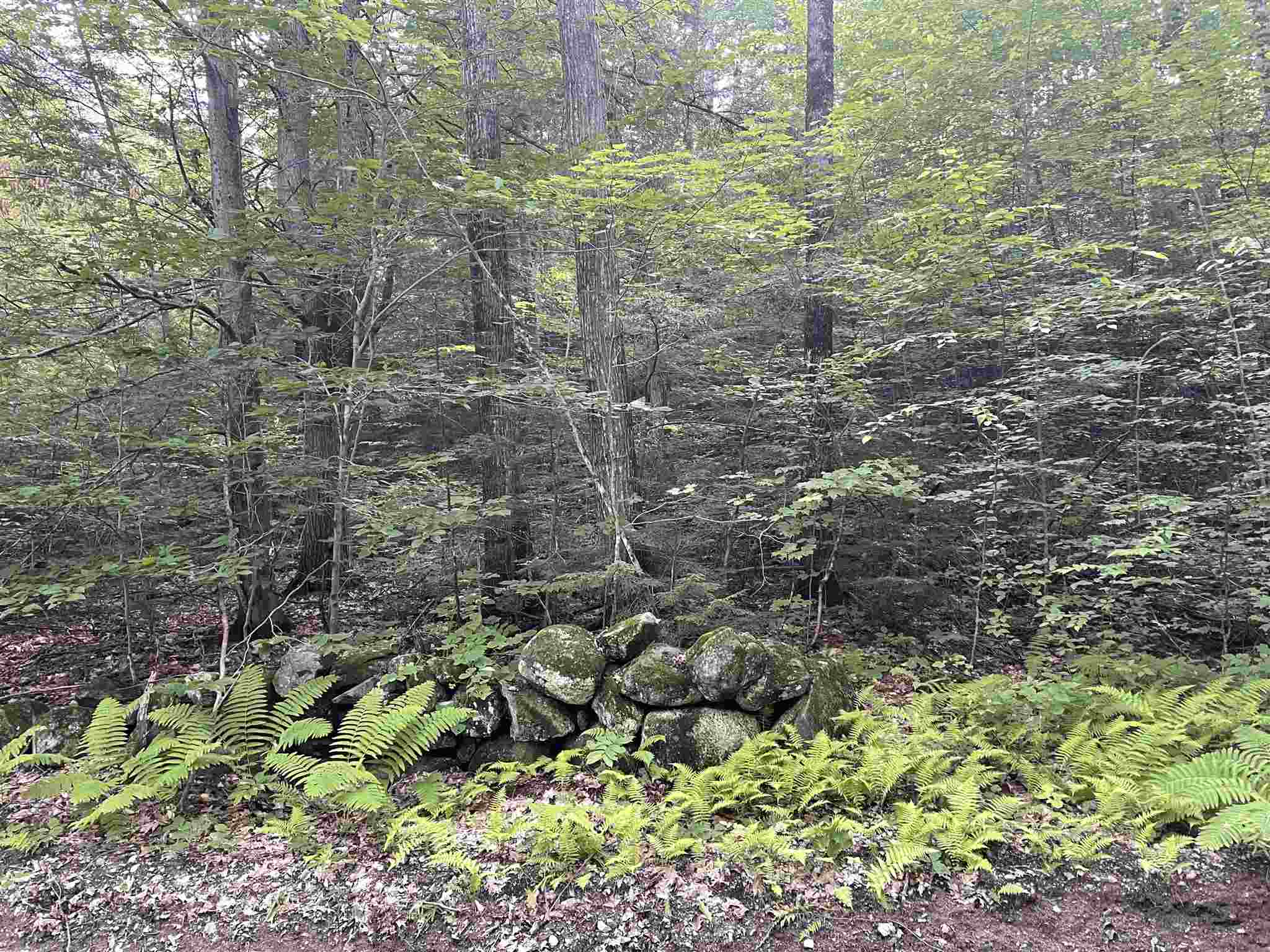 28 Brown Road Warner, NH 03278 - Photo 6 of 6