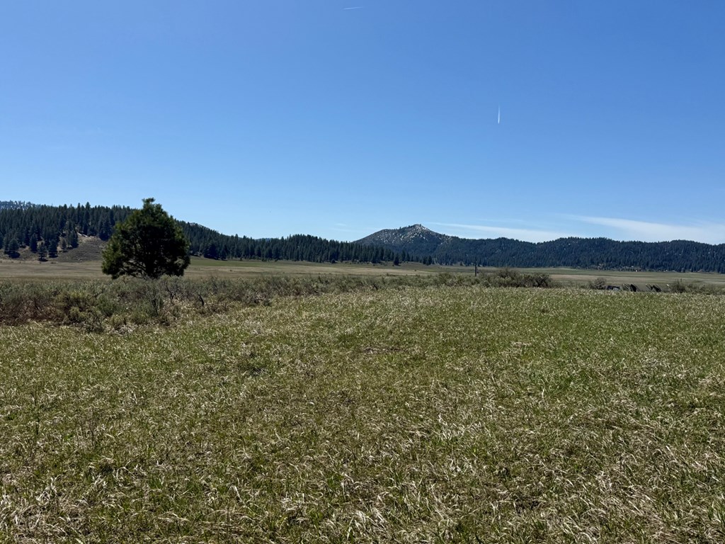 L3-b1 Lantern Way, Unit 3 Cascade, ID 83611 - Photo 6 of 15 Watch Sunrise & Sunsets From Your Home