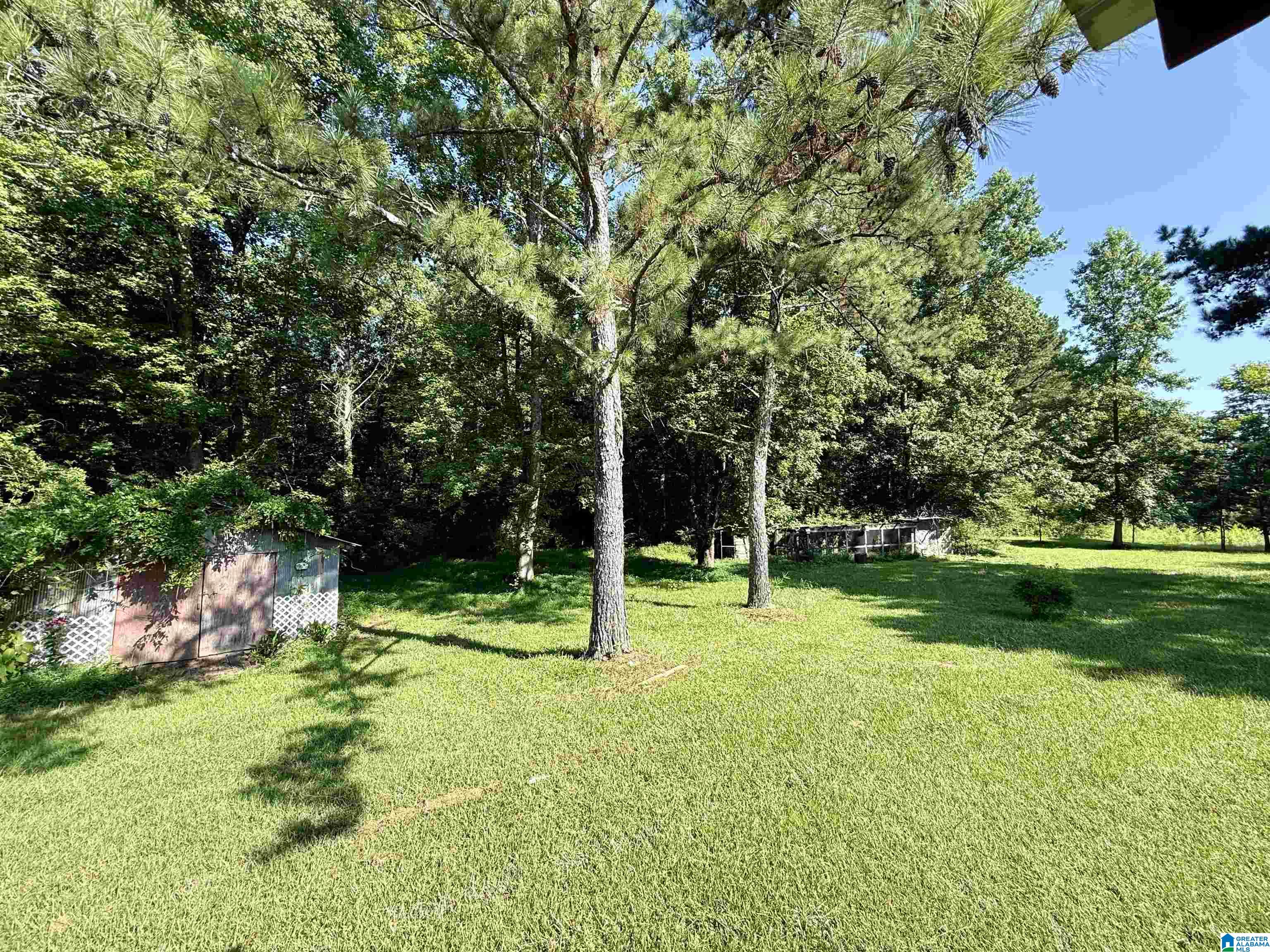 544 Landfill Road Ashland, AL 36251 - Photo 38 of 43