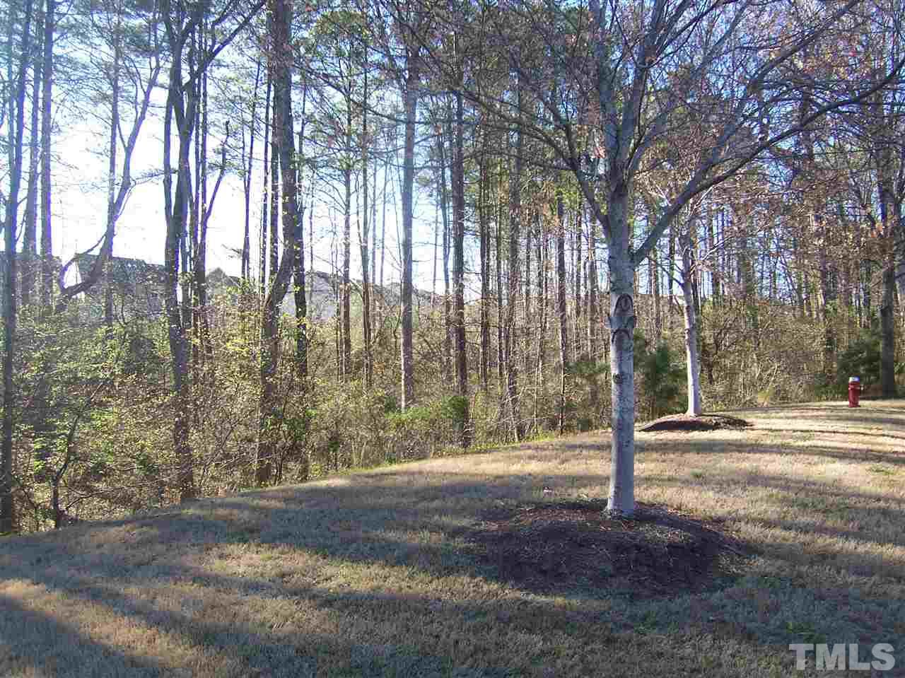 6157 Blakeman Lane Raleigh, NC 27617 - Photo 3 of 25 a backyard of a house with lots of green space