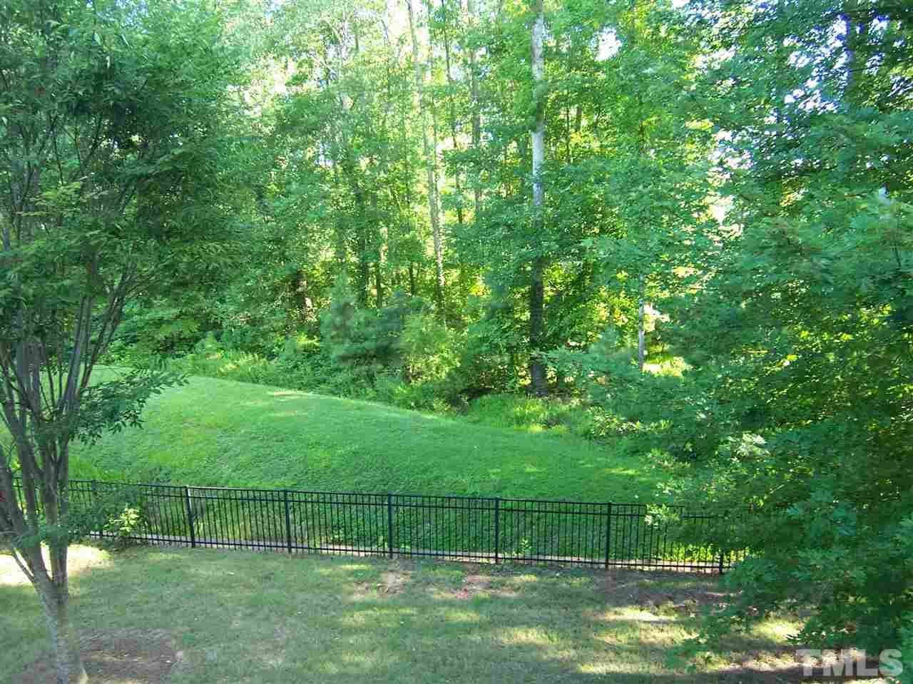 6157 Blakeman Lane Raleigh, NC 27617 - Photo 23 of 25