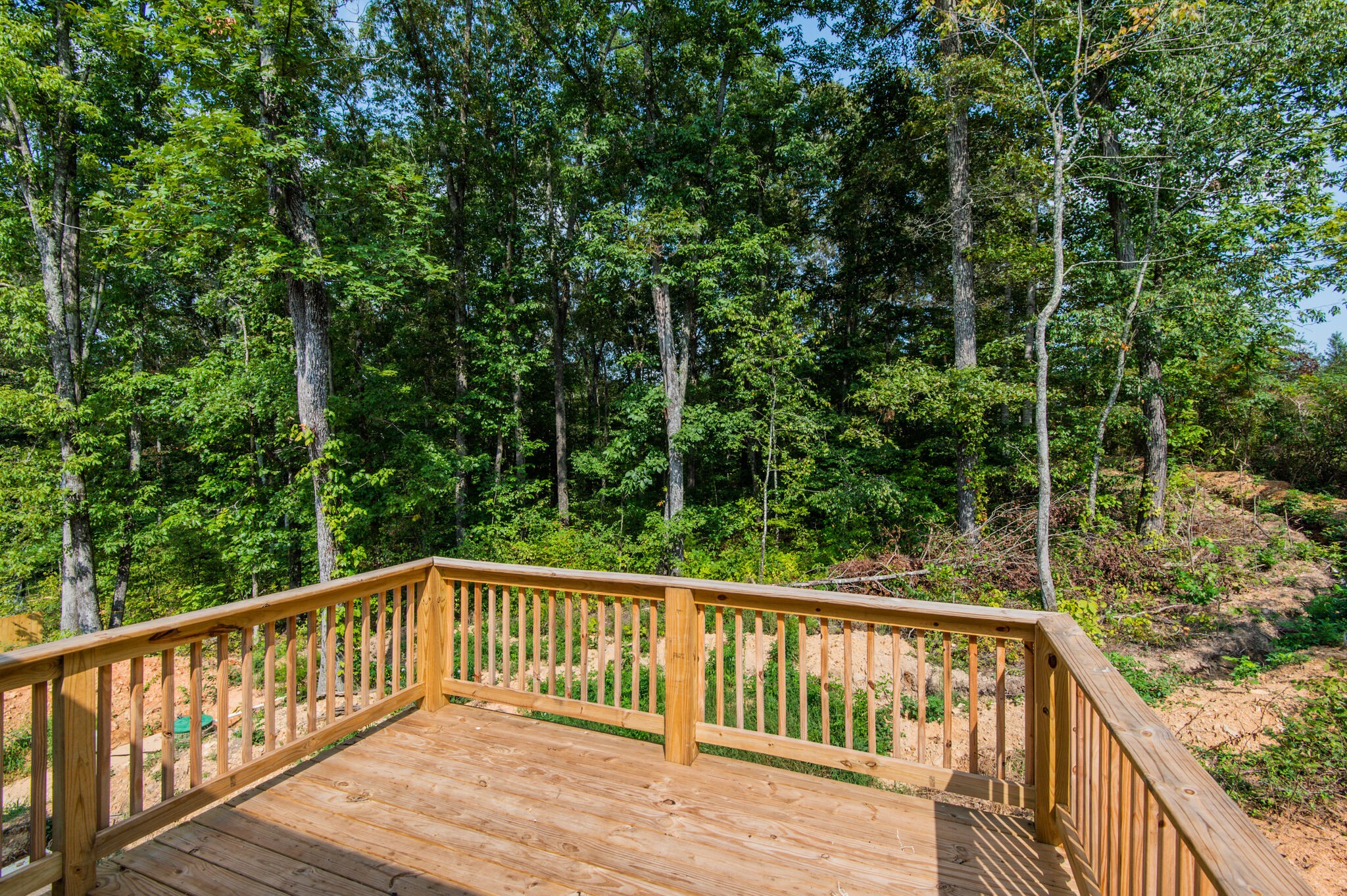 113 Mangrum Road Bon Aqua, TN 37025 - Photo 32 of 33 Gallery Image 32
