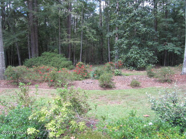 760 Bass Road Macon, GA 31210 - Photo 34 of 44 a backyard of a house with lots of green space