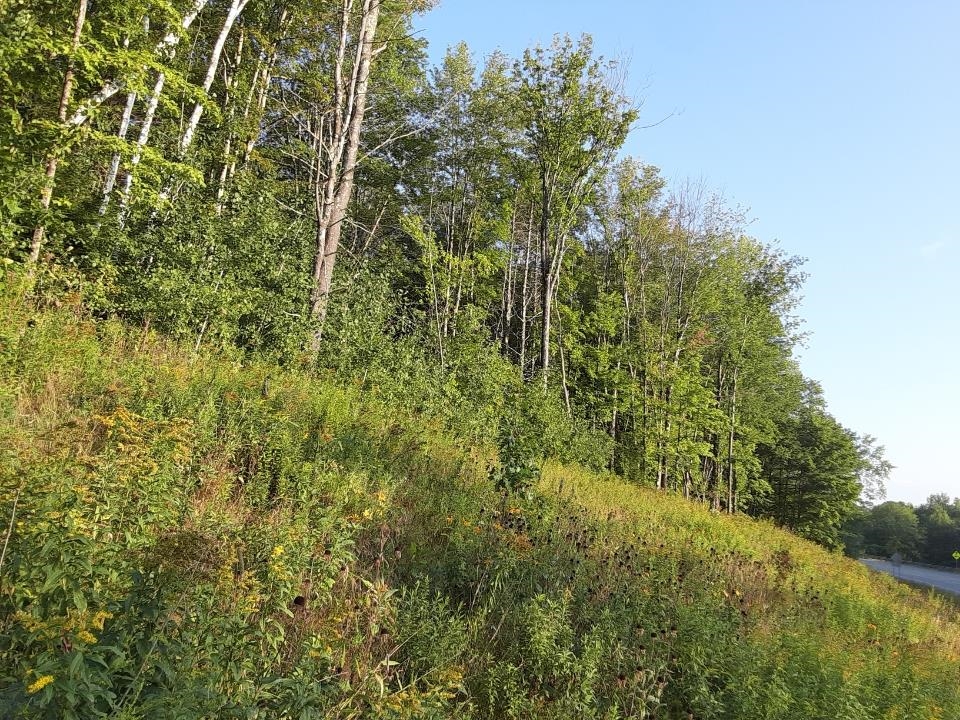 4 Peachum Road Center Barnstead, NH 03225 - Photo 2 of 6