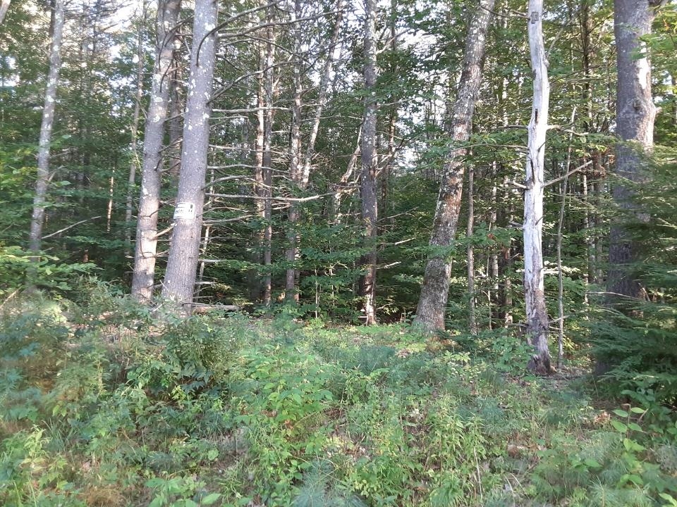 4 Peachum Road Center Barnstead, NH 03225 - Photo 4 of 6