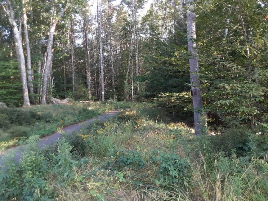 4 Peachum Road Center Barnstead, NH 03225 - Photo 6 of 6