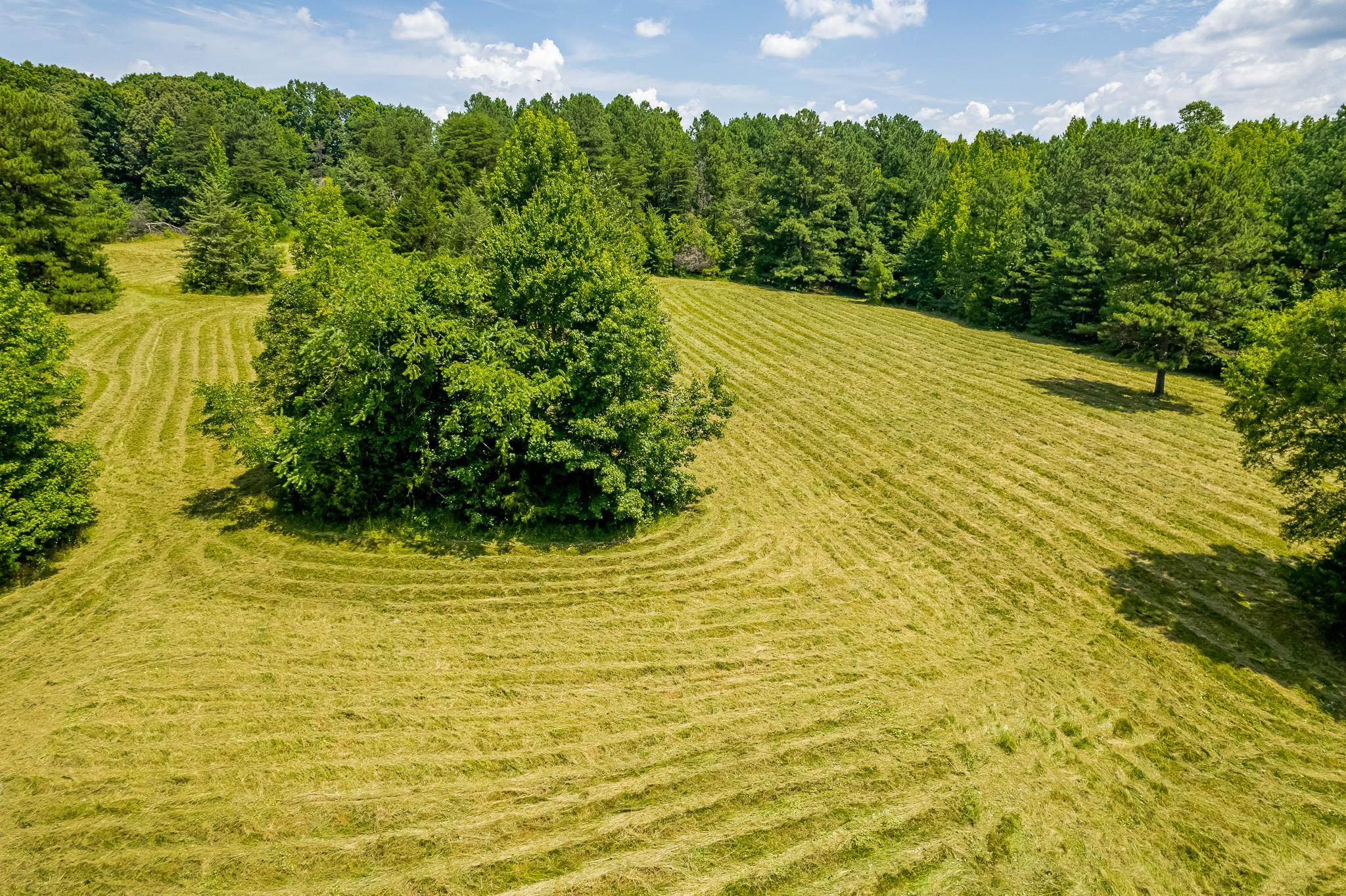 0 Copper Mine Road Graham, NC 27253 - Photo 5 of 10 Photo 5