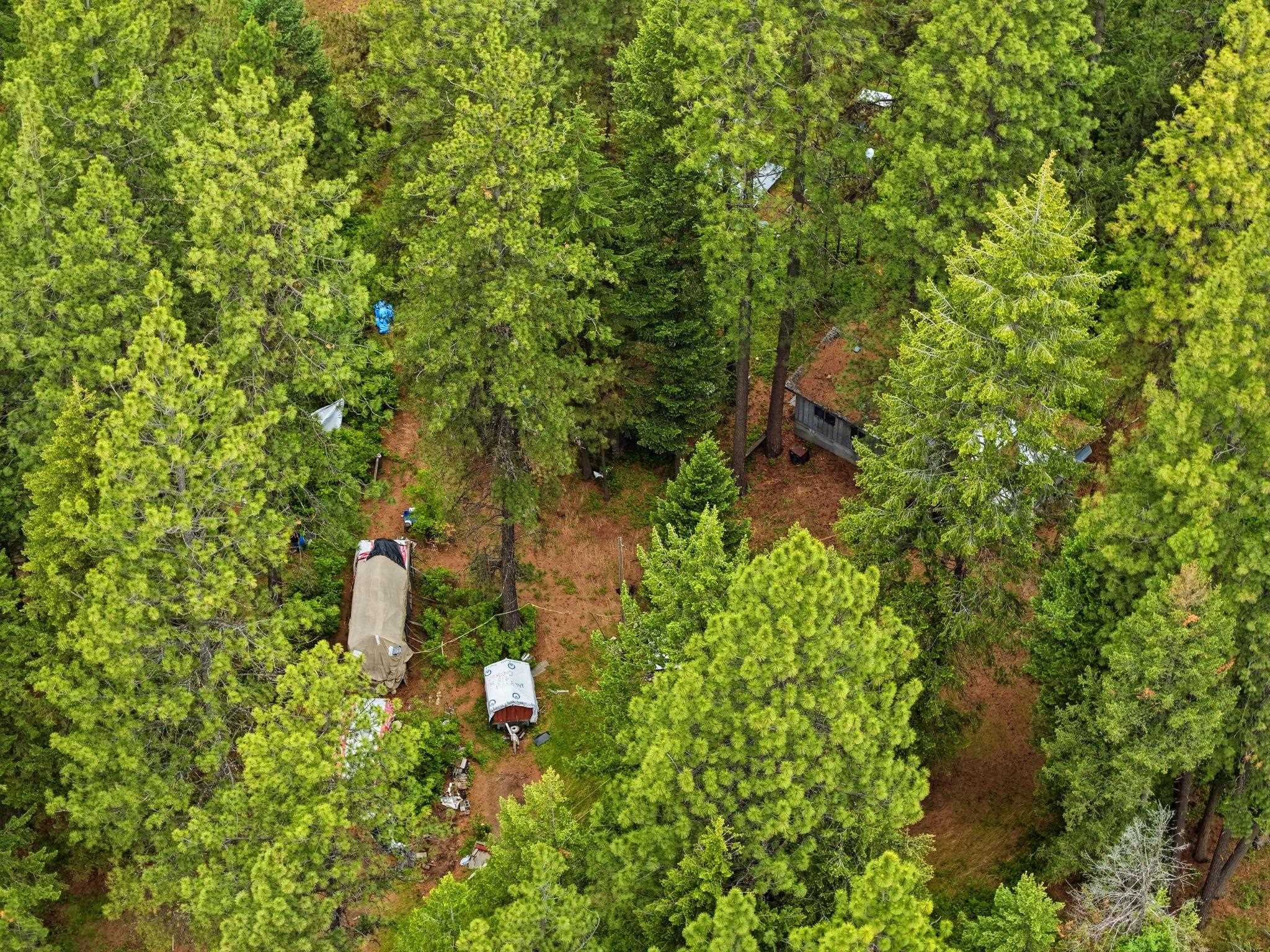 11603 East Deer Creek Road Chattaroy, WA 99003 - Photo 8 of 26