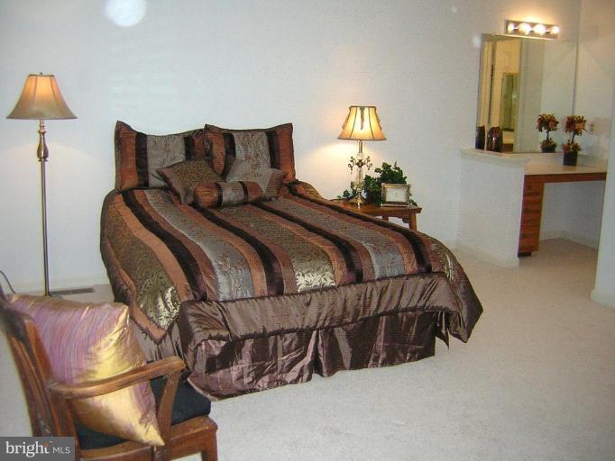 21304 Mirror Ridge Place Sterling, VA 20164 - Photo 20 of 30 Master Bedroom