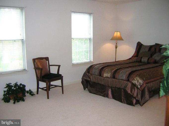 21304 Mirror Ridge Place Sterling, VA 20164 - Photo 21 of 30 Master Bedroom #2