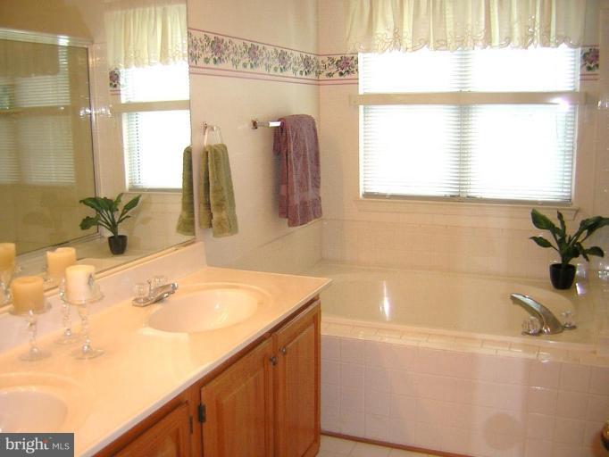21304 Mirror Ridge Place Sterling, VA 20164 - Photo 22 of 30 Master Bath