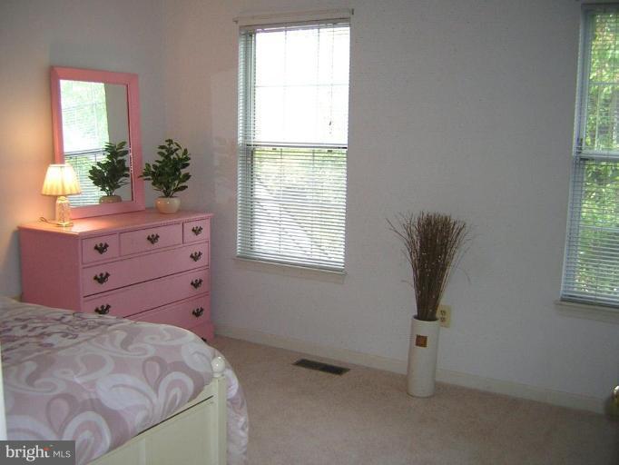 21304 Mirror Ridge Place Sterling, VA 20164 - Photo 25 of 30 Bedroom #4