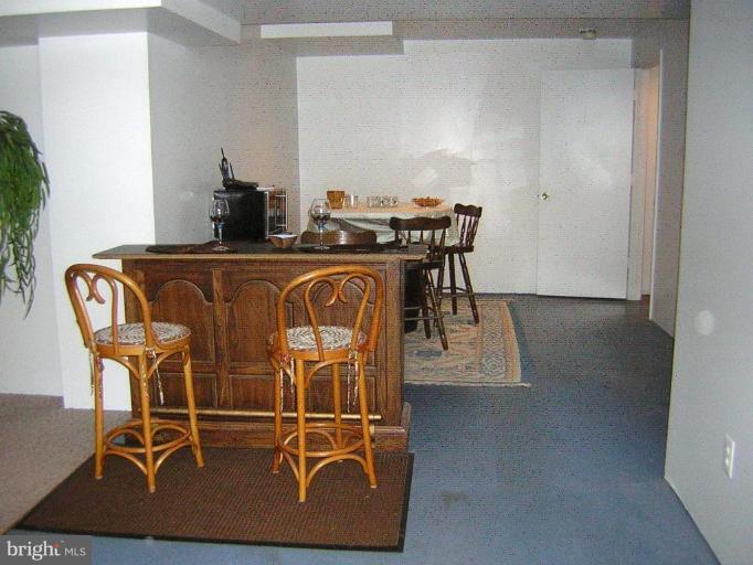 21304 Mirror Ridge Place Sterling, VA 20164 - Photo 27 of 30 Recreation Room #2