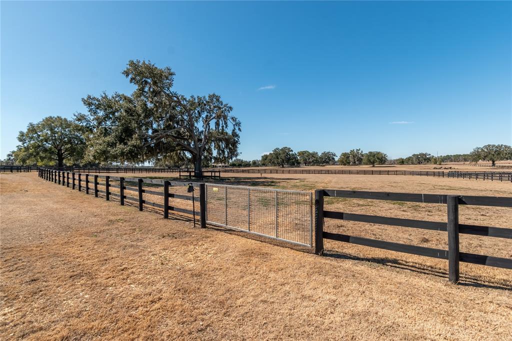 12610 Northwest Gainesville Road Reddick, FL 32686 - Photo 67 of 90