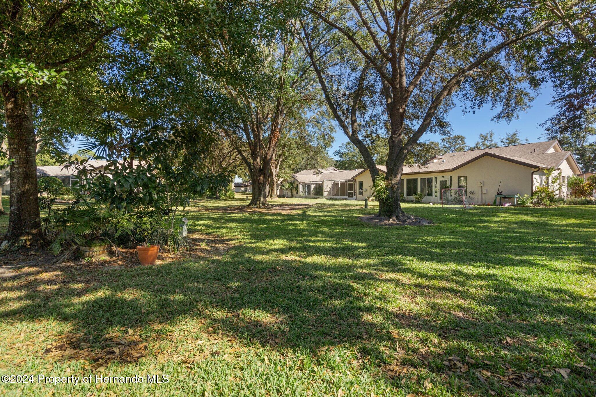 7427 Heather Walk Drive Spring Hill, FL 34613 - Photo 34 of 36 a view of yard with trees