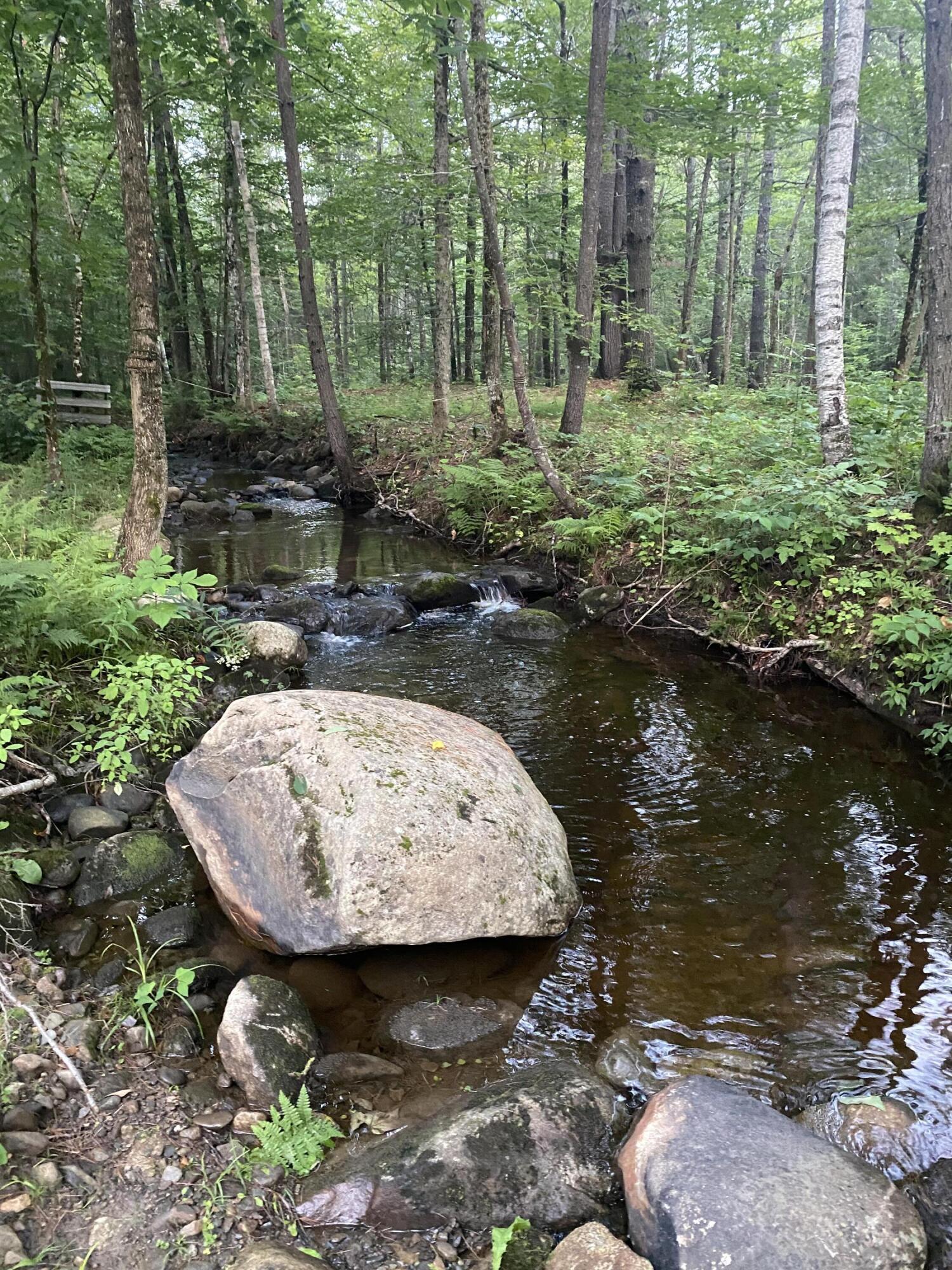 Lot 24.12 Route 156 Danforth, ME 04424 - Photo 3 of 10 IMG_5786