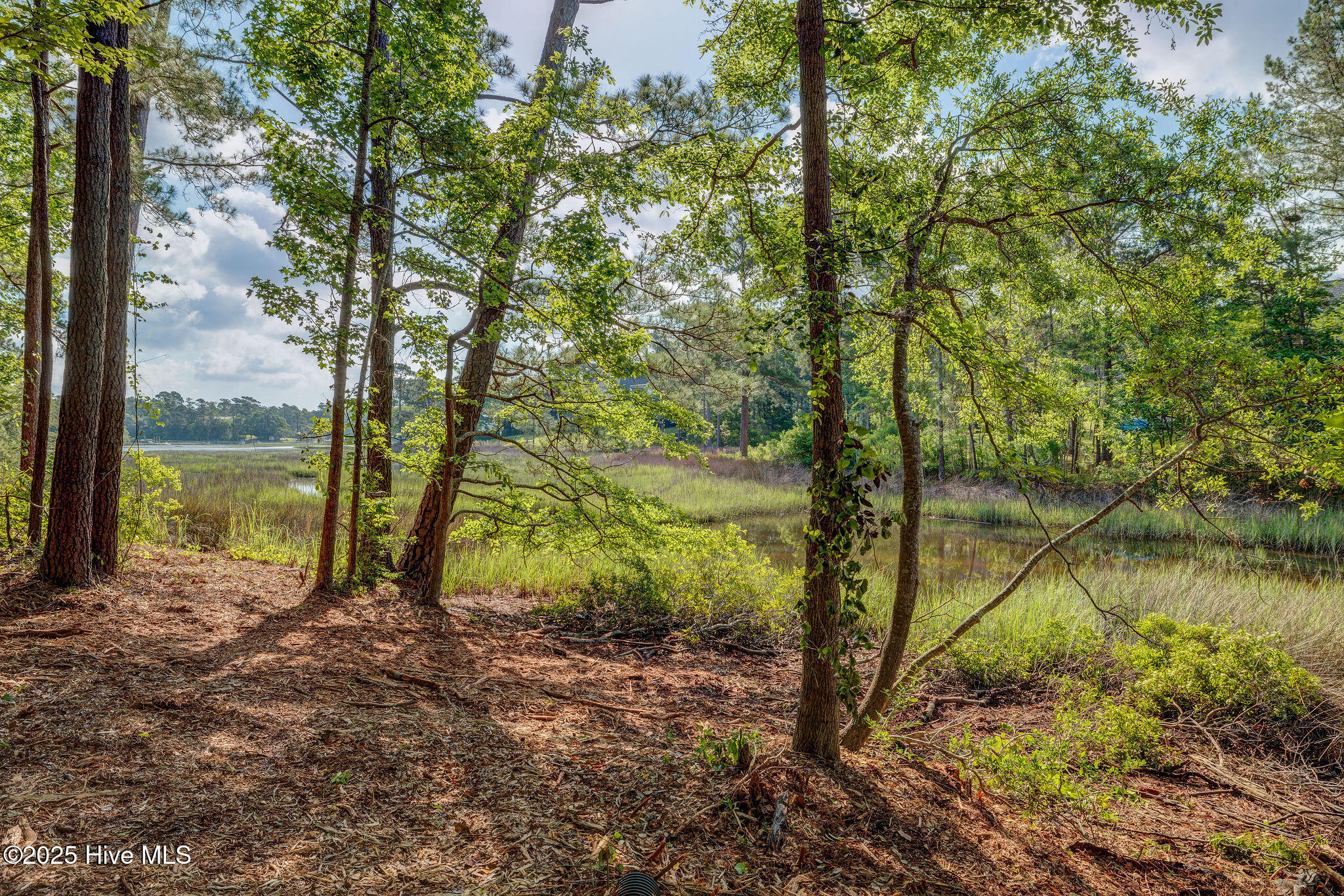 813 Gull Point Road Wilmington, NC 28405 - Photo 9 of 24 813GullPointRoadMarsh-8