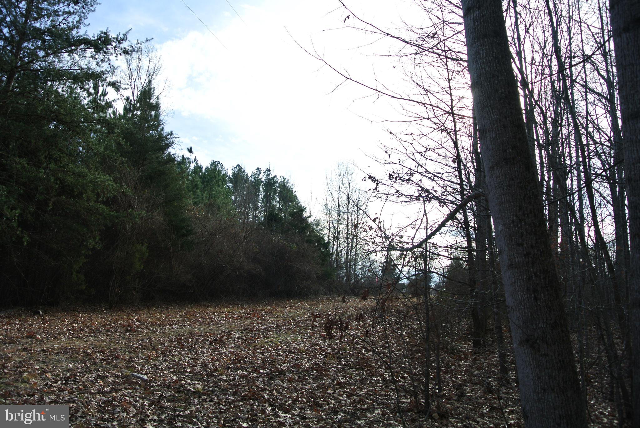 Access off Colvin Road