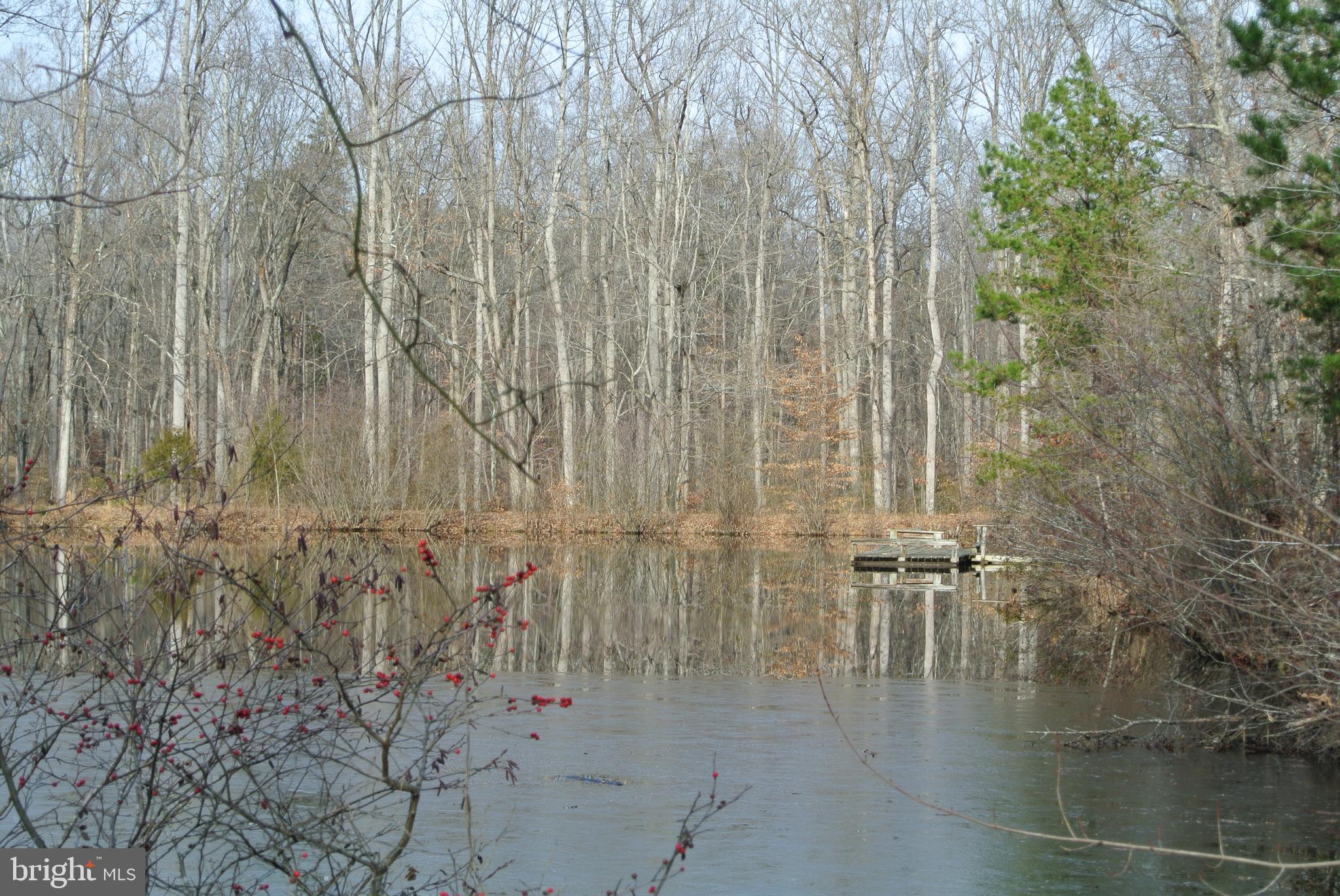 Pond