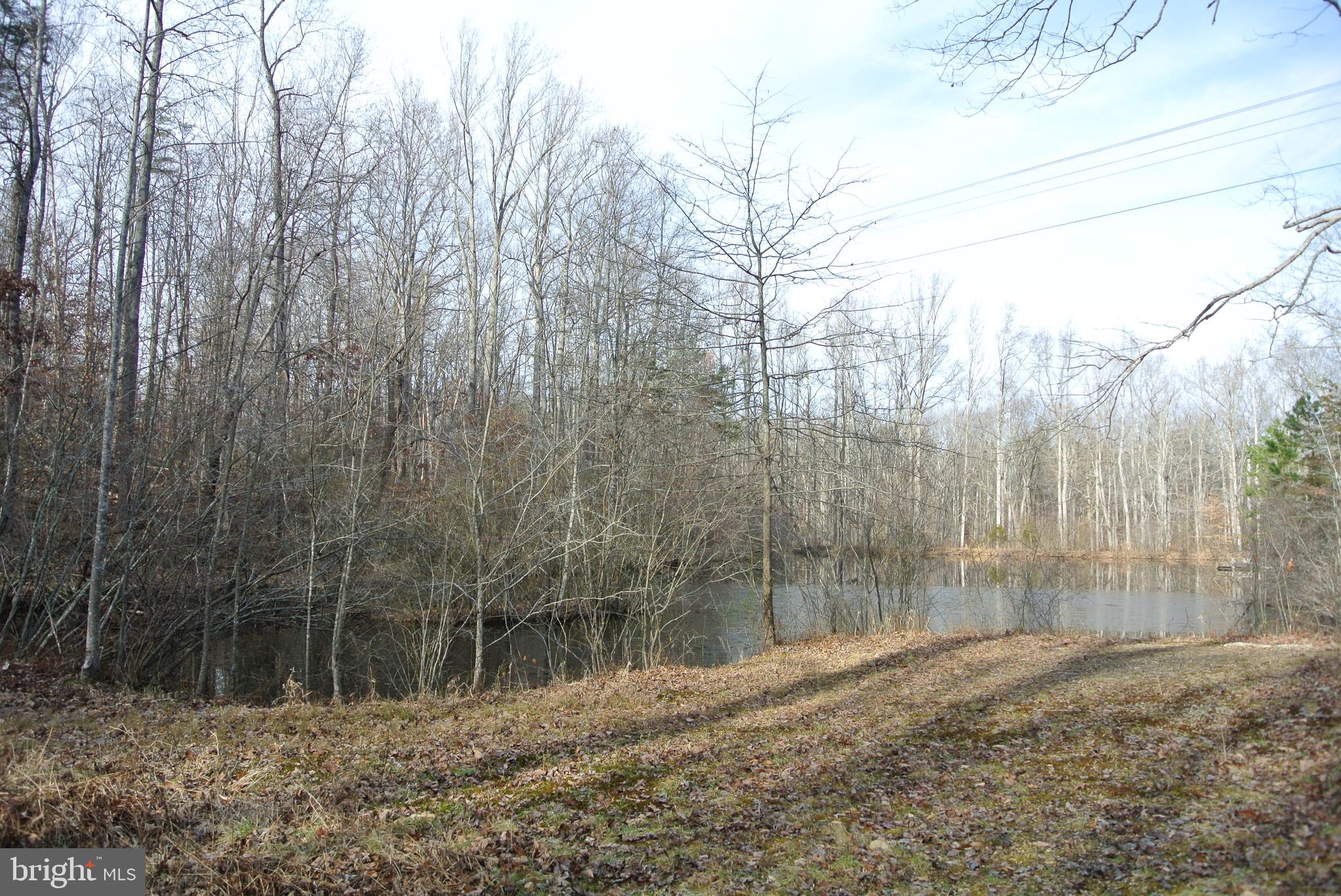 Building site above pond?