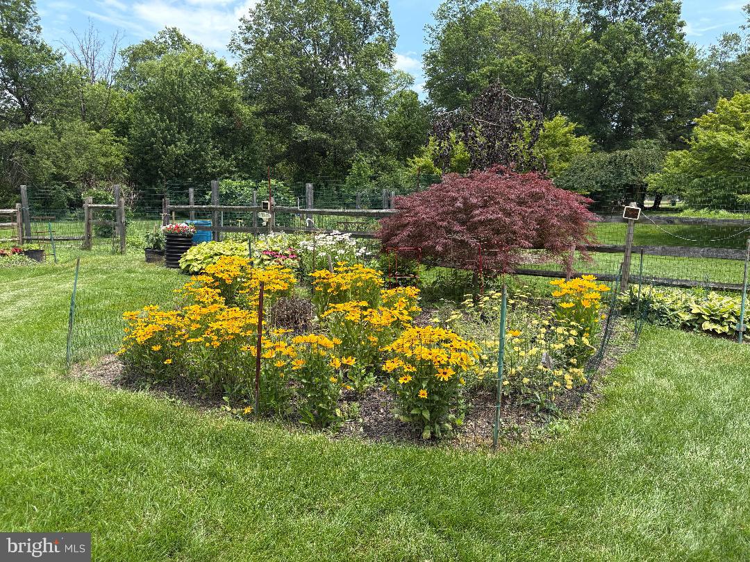 2249 Lilac Lane Jamison, PA 18929 - Photo 51 of 61 a view of yard with swimming pool and green space