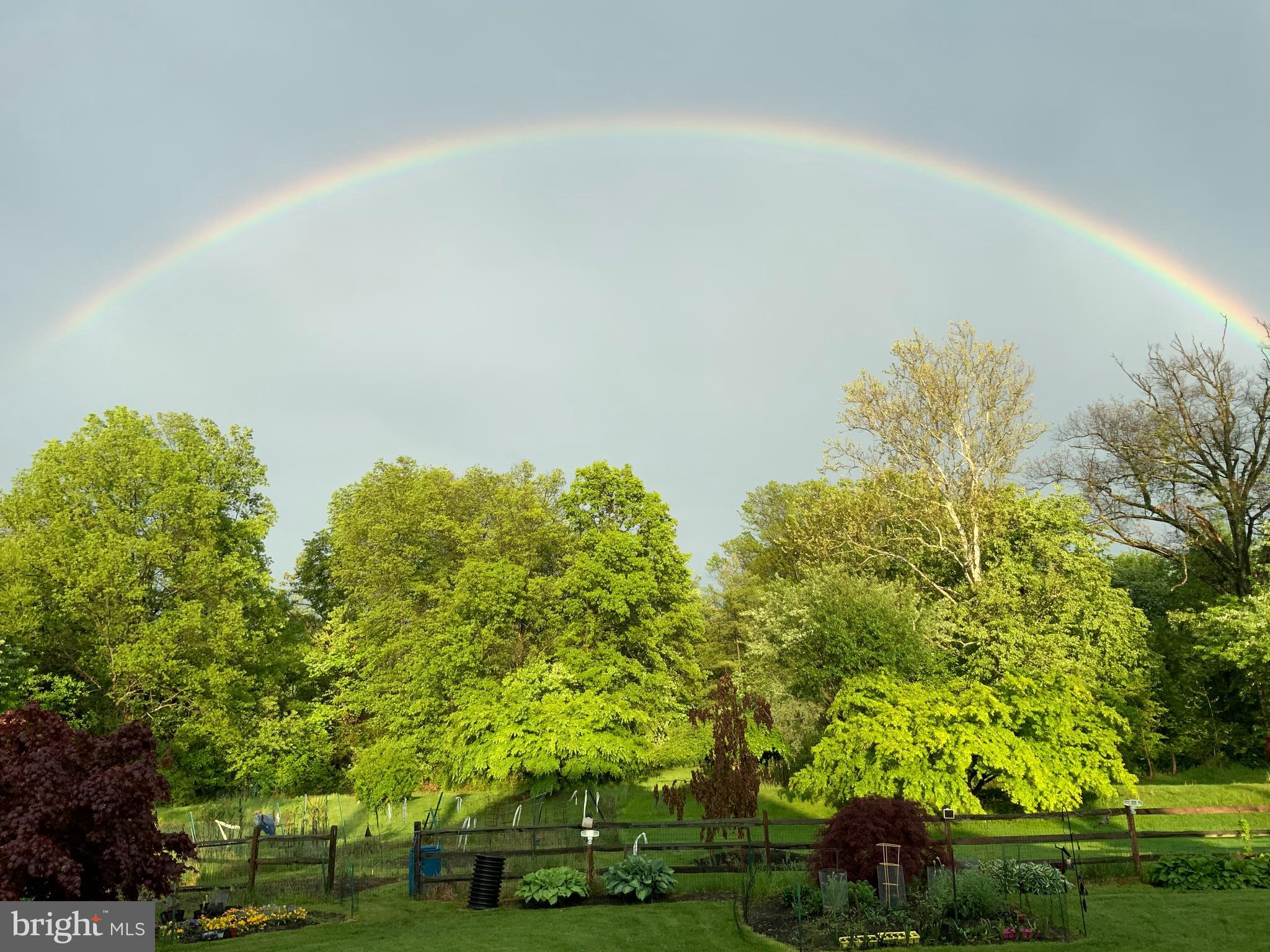 2249 Lilac Lane Jamison, PA 18929 - Photo 53 of 61 a view of a garden