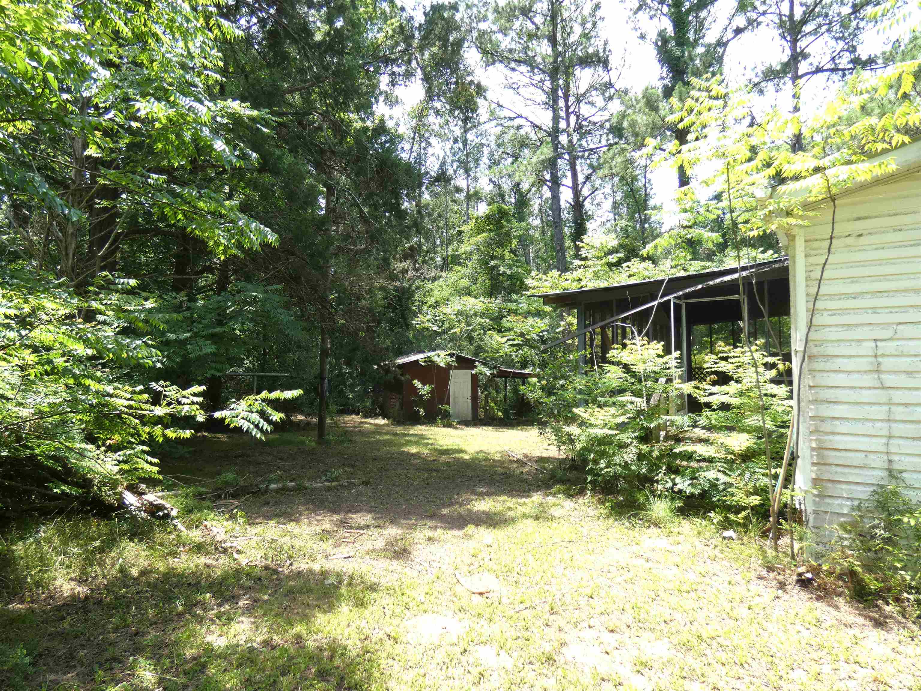 790 Wj Hatchett Road Lamont, FL 32336 - Photo 4 of 6