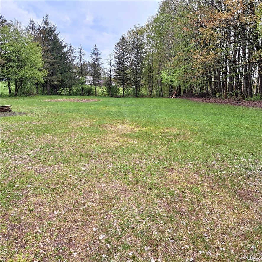 110 Ball Road Williamstown, NY 13493 - Photo 16 of 47