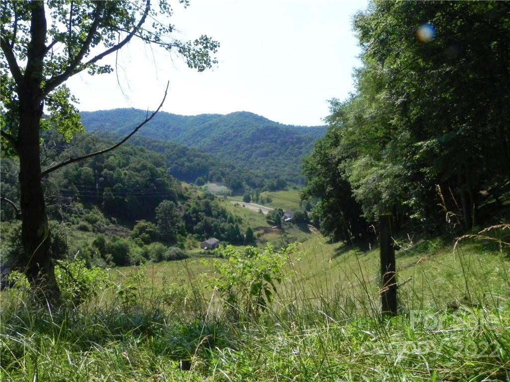 0 Silvers Cove Road Clyde, NC 28721 - Photo 2 of 12 a view of an outdoor space and a yard