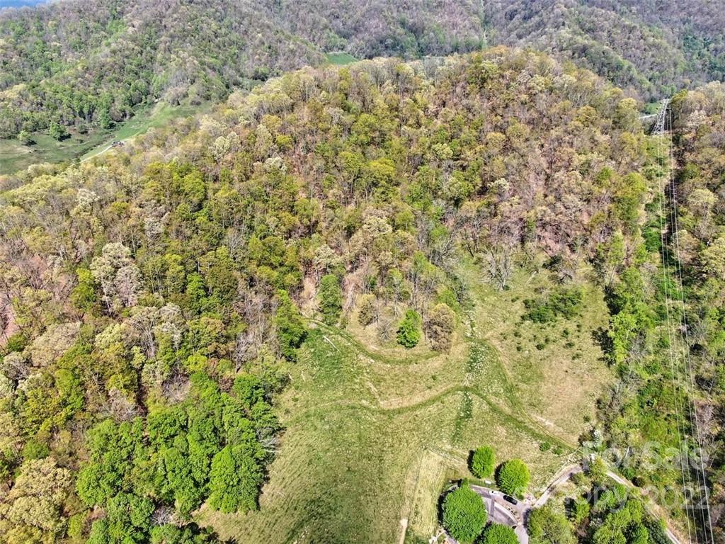 0 Silvers Cove Road Clyde, NC 28721 - Photo 5 of 12