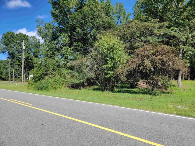a view of backyard with green space