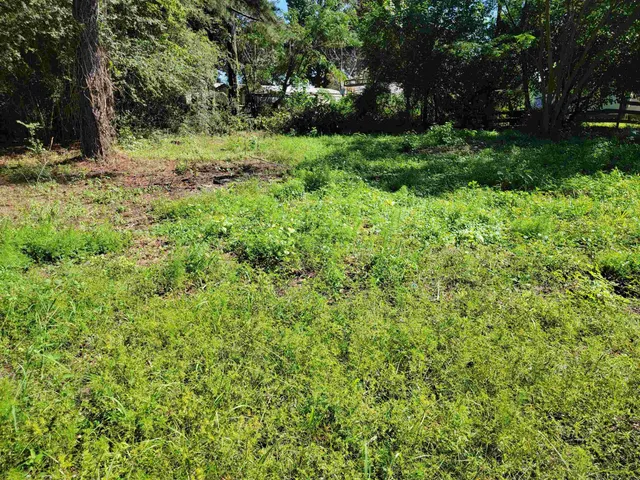 a backyard of a house with lots of green space and fountain