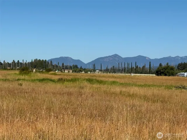 a view of a lake with houses in background