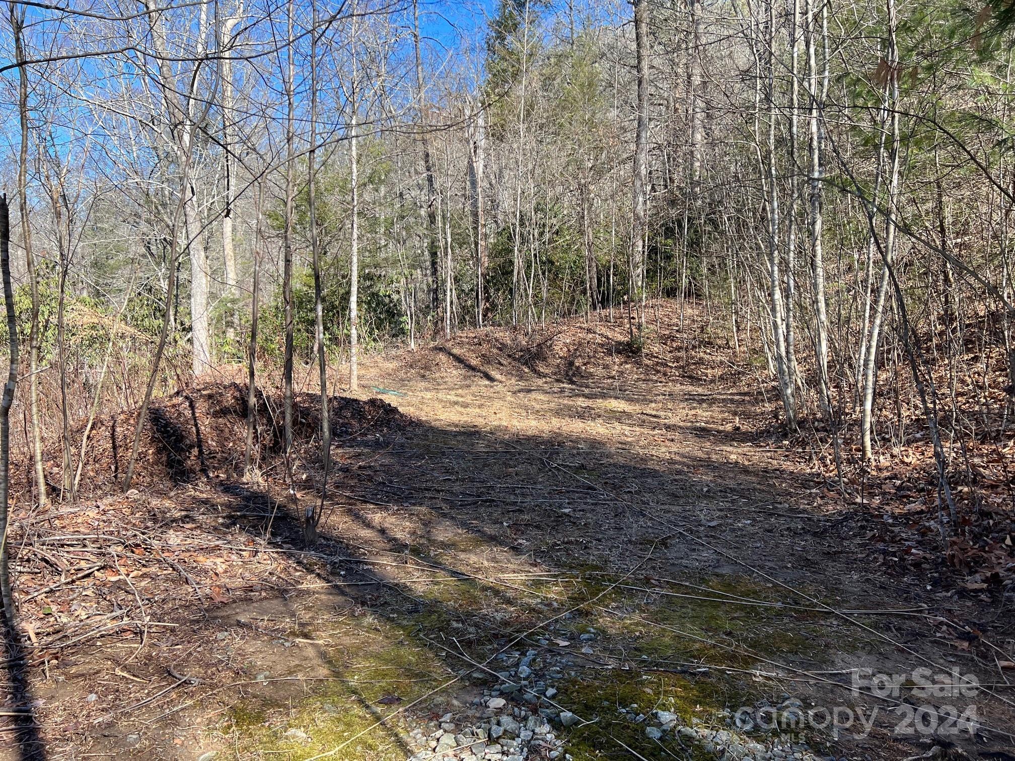 0 Blue Rock Road, Unit 18 Hendersonville, NC 28792 - Photo 12 of 15 a view of a forest filled with trees